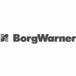 Borg Warner Logo